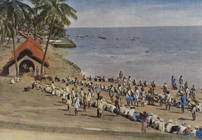 Andaman Adaları, Ortak Yemek Hazırlıkları by European Photographer
